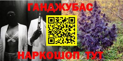 МДПВ Пенза