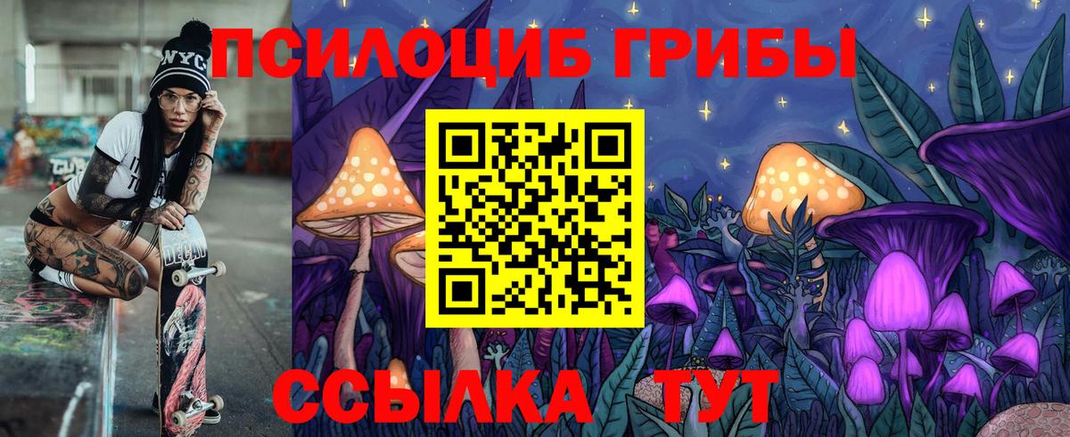 Галлюциногенные грибы Magic Shrooms  сколько стоит  Строитель  Псилоцибиновые грибы прущие грибы  Вход с VPN 